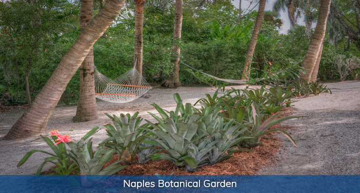 naples-botanical-garden-must-do-things-in-florida