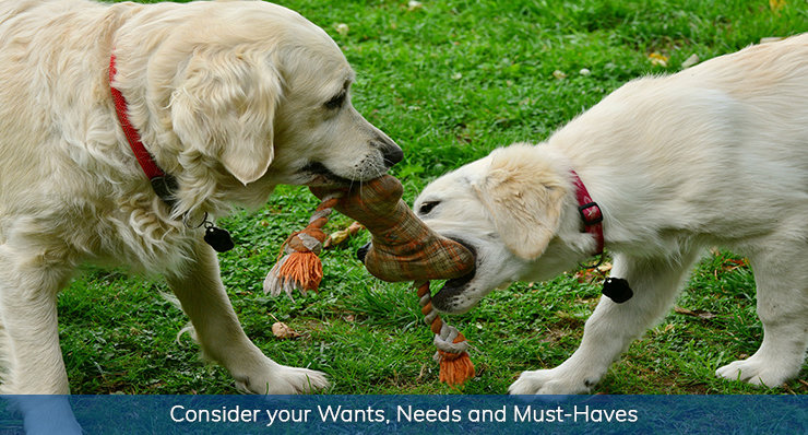 consider-wants-needs-must-haves-tips-firsttime-homebuyers-royal-shell-real-estate